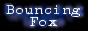 Bouncing Fox
